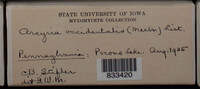Image Associated With the Occurence